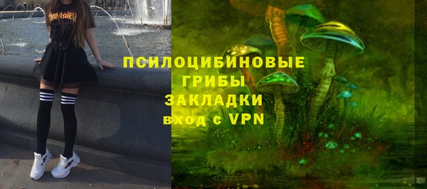 дурь Семёнов