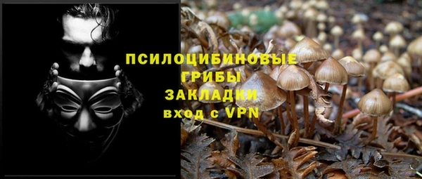 дурь Семёнов