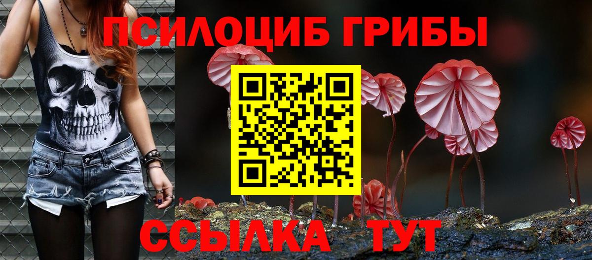 Псилоцибиновые грибы Cubensis  Вход с VPN  Ростов-на-Дону  Псилоцибиновые грибы MAGIC MUSHROOMS 