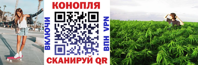 наркота  Ростов-на-Дону  Канабис SATIVA & INDICA 