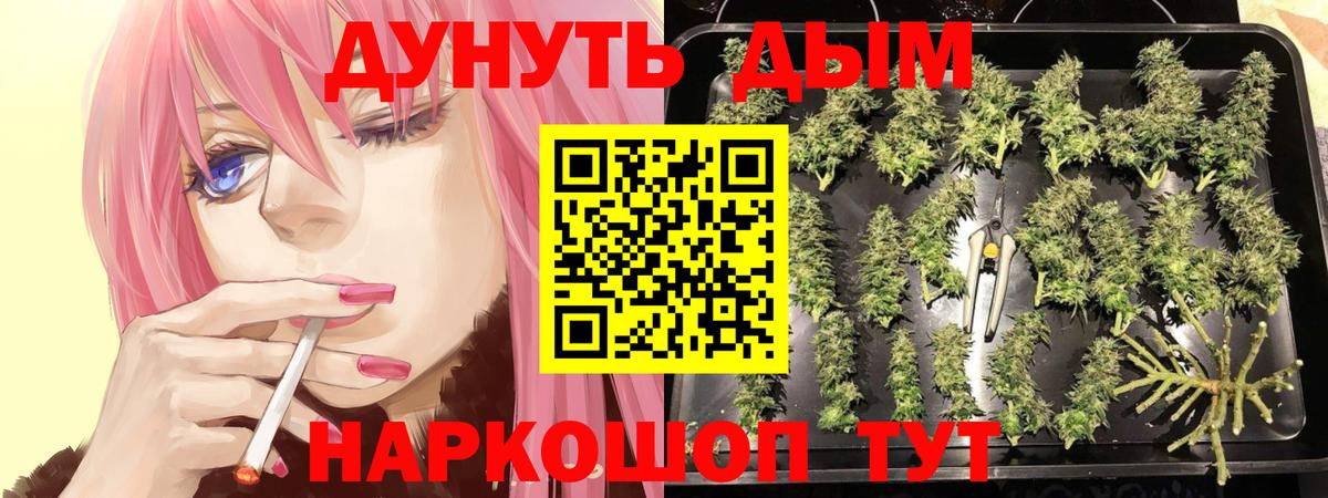 МАРИХУАНА семена  Вход с VPN  Ростов-на-Дону  Бошки Шишки OG Kush  Марихуана тримм  Бошки Шишки план 